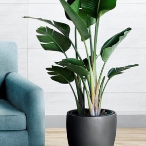 Home fragrance with the aroma of spices