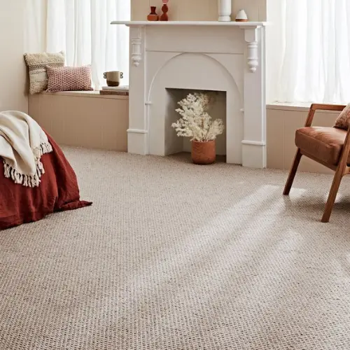 Living Room Carpets